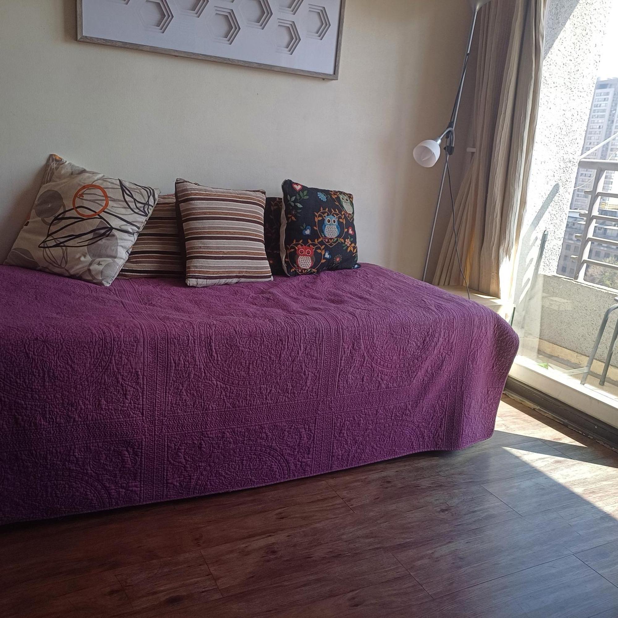 Stgo Centro, Departamentos Amoblados Paz Apartment Santiago Luaran gambar